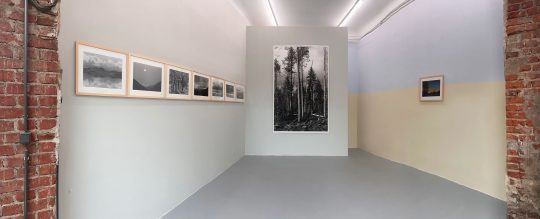 Ausstellung Ute Schendel