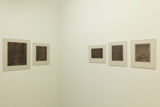 5 Fixed Anthotype (different sizes)<br>Bramble Juice and Paper
Photo: CHROMA, Courtesy Galerie Gilla Loercher 