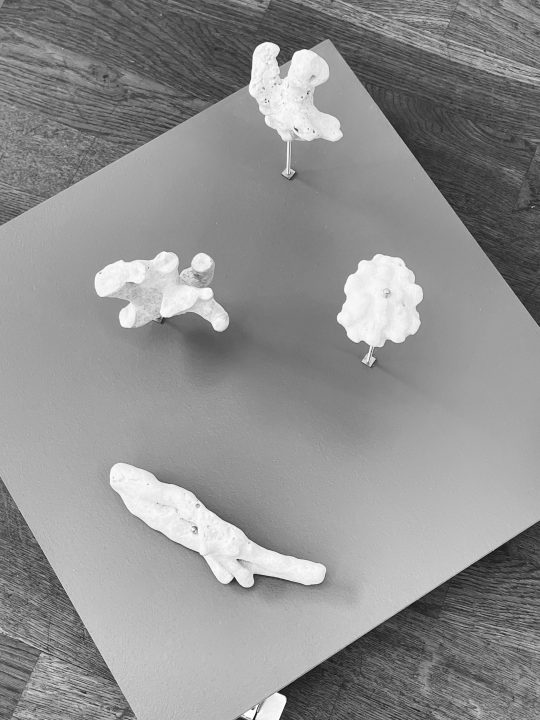 John Cornu Sculpture Project (Okinawa) #1, 2024 Coral, wood, paint, brass threaded rods, brass nuts and cap nuts, wheels Approx. 30 x 41 x 40 cm Exhibition view « Lettres mortes », Galerie Gilla Lörcher, Berlin, 2024