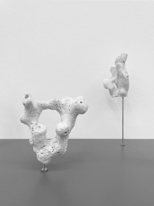 John Cornu Sculpture Project (Okinawa) #4, 2024 Coral, wood, paint, Coral, wood, brass threaded rods, brass nuts and cap nuts, metal shelf brackets Approx. 40 x 51 x 30,5 cm Exhibition view « Lettres mortes », Galerie Gilla Lörcher, Berlin, 2024