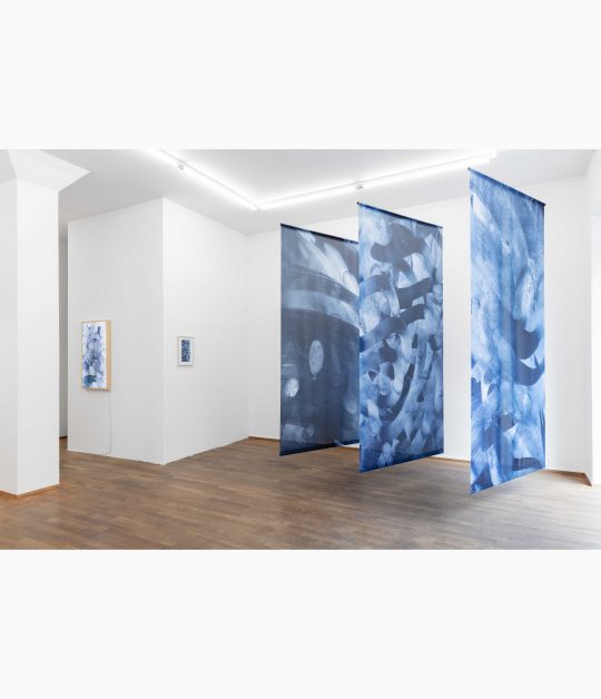 Installation view Yoana Tuzharova Touch Inkjet print on fabric. 285x142 cm each at GalerieGillaLoercher2026