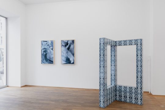Yoana Tuzharova at Galerie Gilla Loercher 2026.