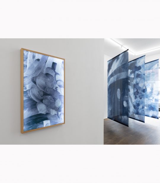 Installation view. Pentimentum 270818, pigmentprint on film, lightbox, LED 104x61 cm. GalerieGillaLOercher2026