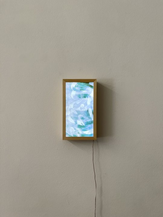YoanaTuzharova Pentimentum 200219 pigmentprint on blacklightfilm LED framed 28,2x15,8 cm_IMG_2470_GL