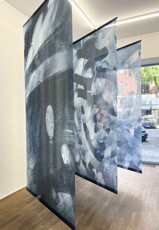 YoanaTuzharova TOUCH Inkjet on fabric each 285 x 142 cm IMG_2493_GL