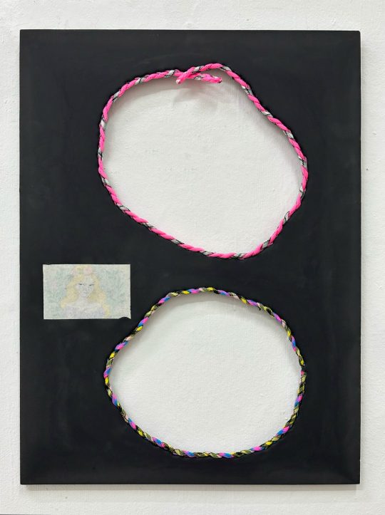 Claudia Zweifel. An old fairy tale, 2025, Polymer Harz, Paracord, Inkjet Print, 48 x 36 cm