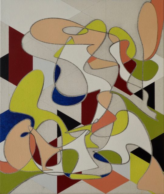 AbvanHanegem_o.t., 50 x 40 cm. DSC01183